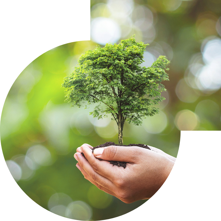 关怀人类、文化、环境与社会